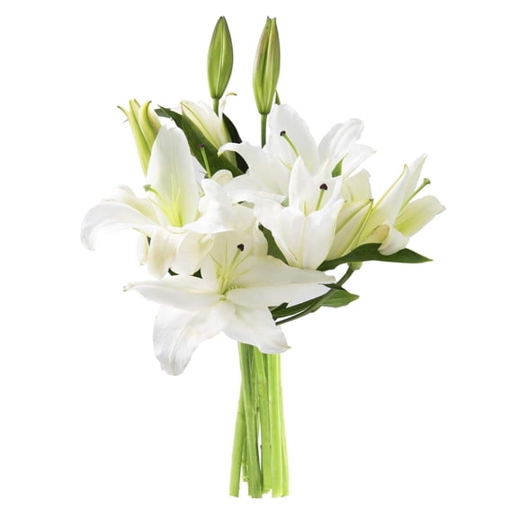 KaBloom : Pure Love Bouquet of Fresh 5 White Lilies, Next-Day Delivery, Gift for Every Occasion