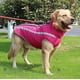 thumbnail image 2 of Abrigo impermeable para perros, chaqueta cálida de invierno, deporte al aire libre, ropa impermeable para perros, chaleco para perros pequeños, medianos y grandes con orificio para arnés oso de fresa Electrónica, 2 of 5