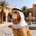 thumbnail image 5 of Arabian Style Pet Headwrap Necklace Set Luxury Cat Dog Costume Turban Gemstone Pet Outfit Fancy Dress Photo Props Party Cosplay Accessories for Cats Dogs Decorative Clothing Set, 5 of 6