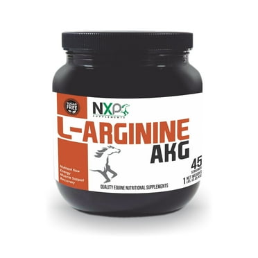 L-ARGININE AKG - Nutrient Flow Vasodilation Muscle Support Recovery Energy Performance Horse Supplement - 1 lb (0.45 kg) Powder - 45 Servings - NXP Supplements