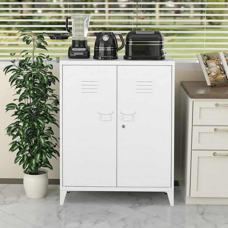 MIIIKO Metal Locker with 2 Doors Metal Storage Sideboard Accent