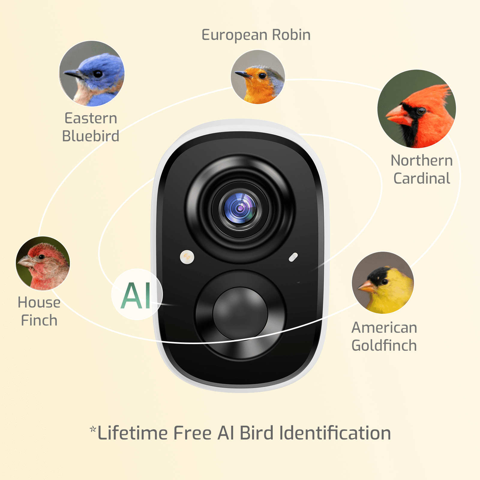 Coolfly x Richbird All-Metal Smart Bird Feeder with 2.5K HD Solar Camera, Squirrel-Resistant Large Capacity Bird House with Free AI Bird Identification & Phone Notifications - White