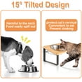 thumbnail image 5 of Qweryboo Cat Food Bowls, Elevated Stainless Steel Cat Bowls, 15 Degree Tilted Raised Bowls for Food and Water, with Stand and Anti Vomit Feeding Station for Indoor Cats and Small Dogs(Stainless Steel), 5 of 8