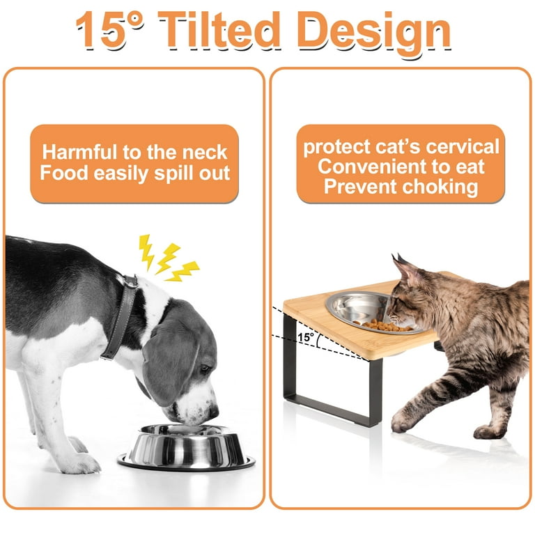 blackwood vs royal canin cat food Cat  minion-theme-vertical