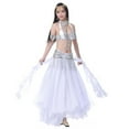 thumbnail image 4 of Belly Dance Skirt Chiffon Curled Leaf Double Slit Ear Skirt Gauze Skirt High Slit Skirt For Adult Women Performance Practice, 4 of 7