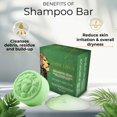 thumbnail image 2 of Lion Locs 3-in-1 Dreadlock Shampoo Bar & Conditioner for Locs, Dreads & Natural Hair, 2 of 8