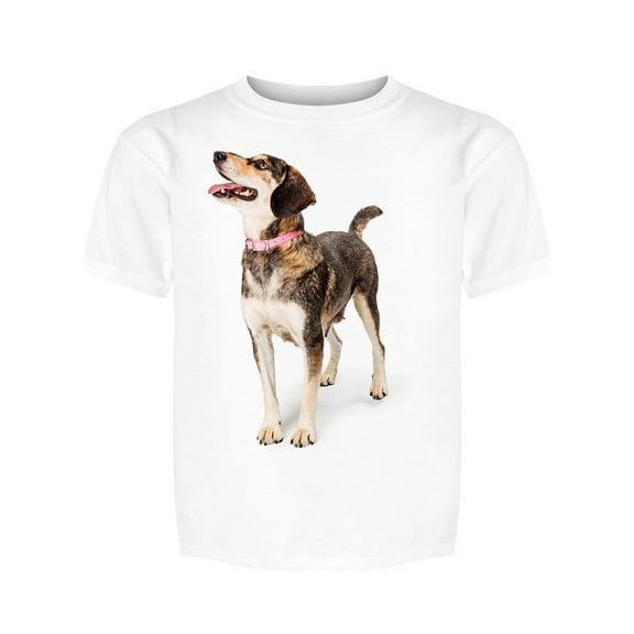 Excited Beagle Dog Tee Boy's -Image by Shutterstock