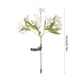thumbnail image 2 of Lámpara De Pie De Jardín De Plástico Luces Solares De Simulación De Flores Con 42 Led Blancos Cálidos, Impermeables, Para Jardín Al Aire Libre, Decoración De Césped, Blanco, 73cm (1 Unidad) Rkxzt, 2 of 8