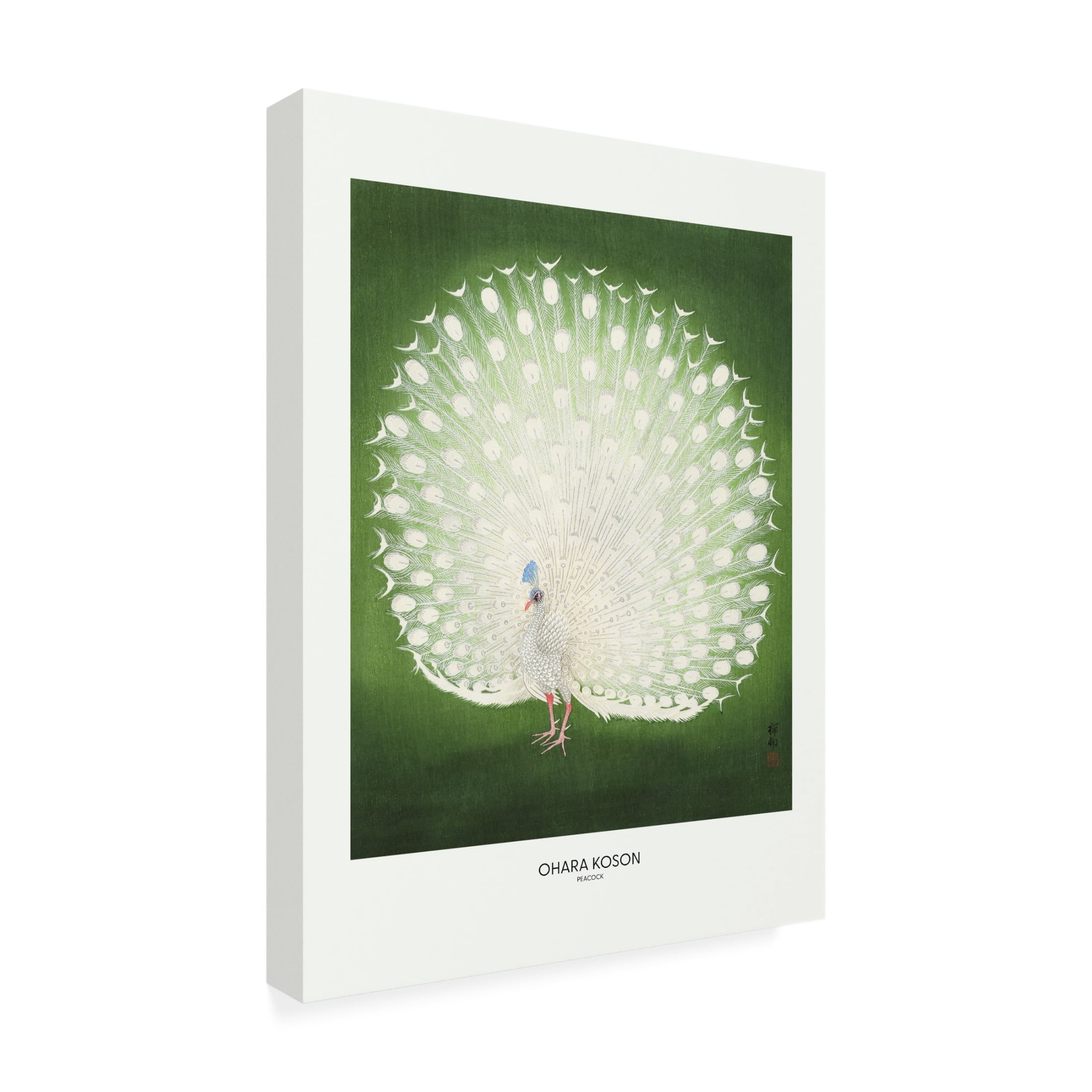 Trademark Fine Art Pictufy Peacock Wide Canvas Wall Art