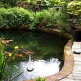 thumbnail image 2 of Solar Fountain Plastic White 1Pcs For Garden Decor Outdoor Garden, 2 of 9