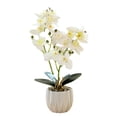 thumbnail image 1 of Película de impresión 3D, doble tenedor, phalaenopsis, bonsái, decoración del hogar, simulación de plantas en macetas, 1 of 5