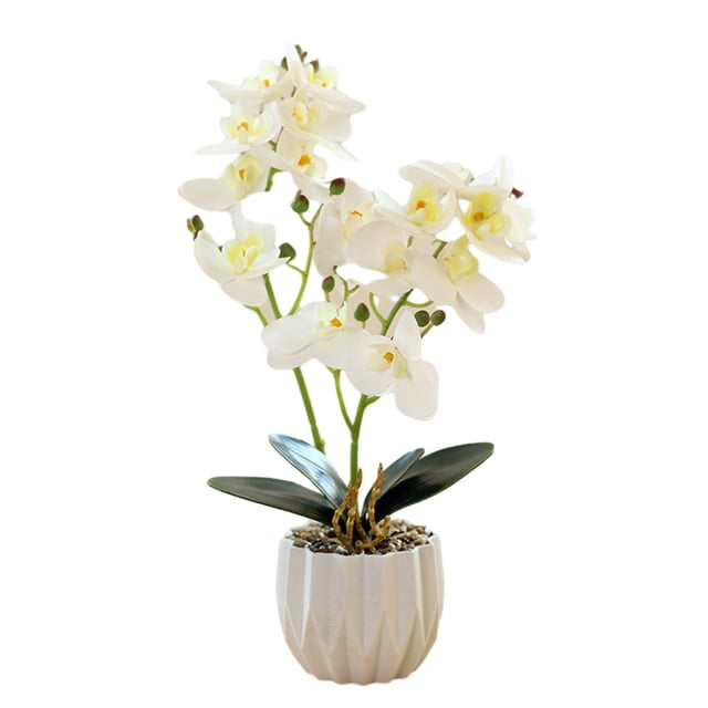 Película de impresión 3D, doble tenedor, phalaenopsis, bonsái, decoración del hogar, simulación de plantas en macetas