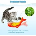thumbnail image 3 of TETOU 2 Pack 11" Interactive Fish Cat Toys Flopping Fish with SilverVine and Catnip Moving Cat Kicker Cat Toys for Indoor Cats Puppy Play Chase Exercise Activity, 3 of 6