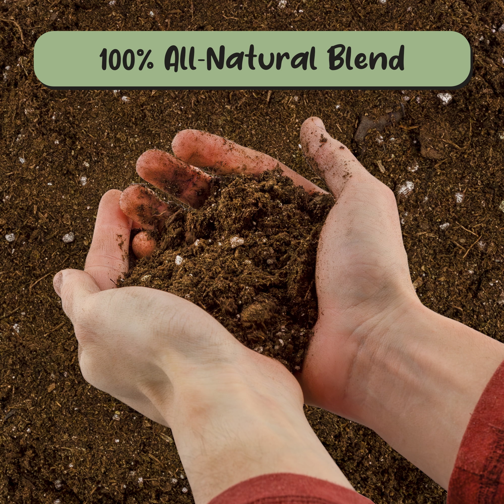 Peace Lily Potting Soil Mix (8 Quarts), for Planting, Growing, or Repotting Peace Lily Plants