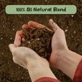 thumbnail image 3 of Peace Lily Potting Soil Mix (8 Quarts), for Planting, Growing, or Repotting Peace Lily Plants, 3 of 10