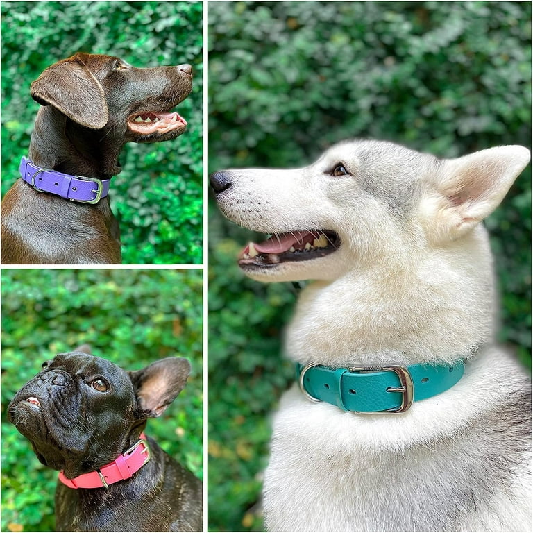  Tuff Pupper Heavy Duty Dog Collar