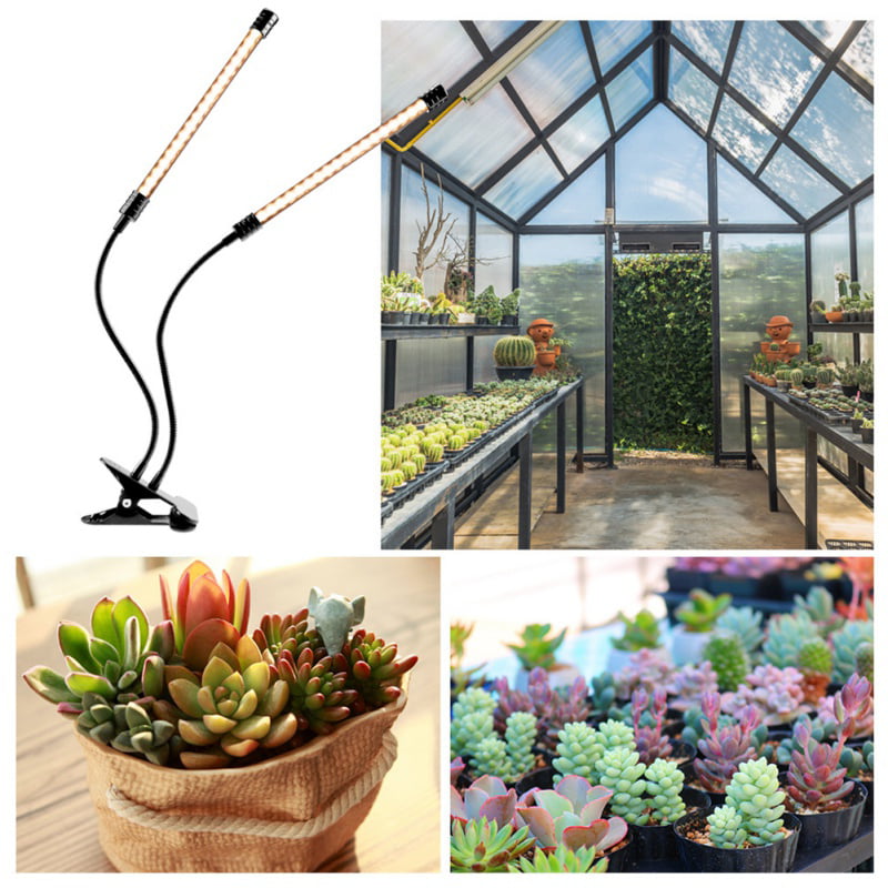 5 W DEL Grow Light flexable Clip sur Lampe Indoor Plant Growing Home Grow NEUF 