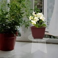 thumbnail image 4 of CTIRCHIU Soporte Acrílico Para Plantas Con Estructura Estable Y Acabado Fácil Limpieza, 4 of 8