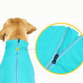 thumbnail image 4 of GASTROPOD Dog Recovery Suit,Wound Protection Dog Costume,Cooling and Flexible Cat Costume, 4 of 4