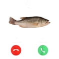 thumbnail image 2 of 100% Cotton Fih Calling Remind me Message Decline Accept Phone Call Fish T-ShirtFit Casual Streetwear Men Gifts Shortsleeve, 2 of 7