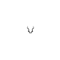 Black Buck Coffee profile photo