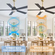 Cusp Barn 52 Modern Indoor Ceiling Fan with LED Lights and Remote Control, DC Motor 6 Speeds, Gold Finish, Reversible Blades