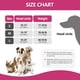 thumbnail image 5 of Orejeras para perros para nadar en invierno, impermeables, 5 of 6