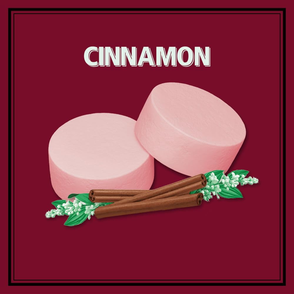 ALTOIDS Classic Cinnamon Breath Mints, 1.76 Oz, Pack of 12 | Hard Candy Breath Refreshers, Spicy Cinnamon Flavor | Keto-Friendly & Portable | Ships in an Aromatik™ Damage Proof Box