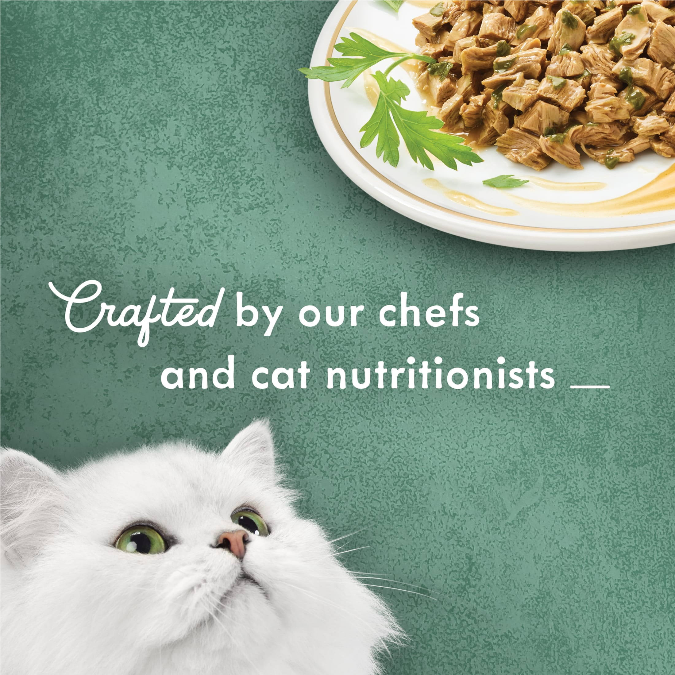 (6 pack) Purina Fancy Feast Medleys Wet Cat Food, Chicken Florentine & Spinach, 3 oz Cans