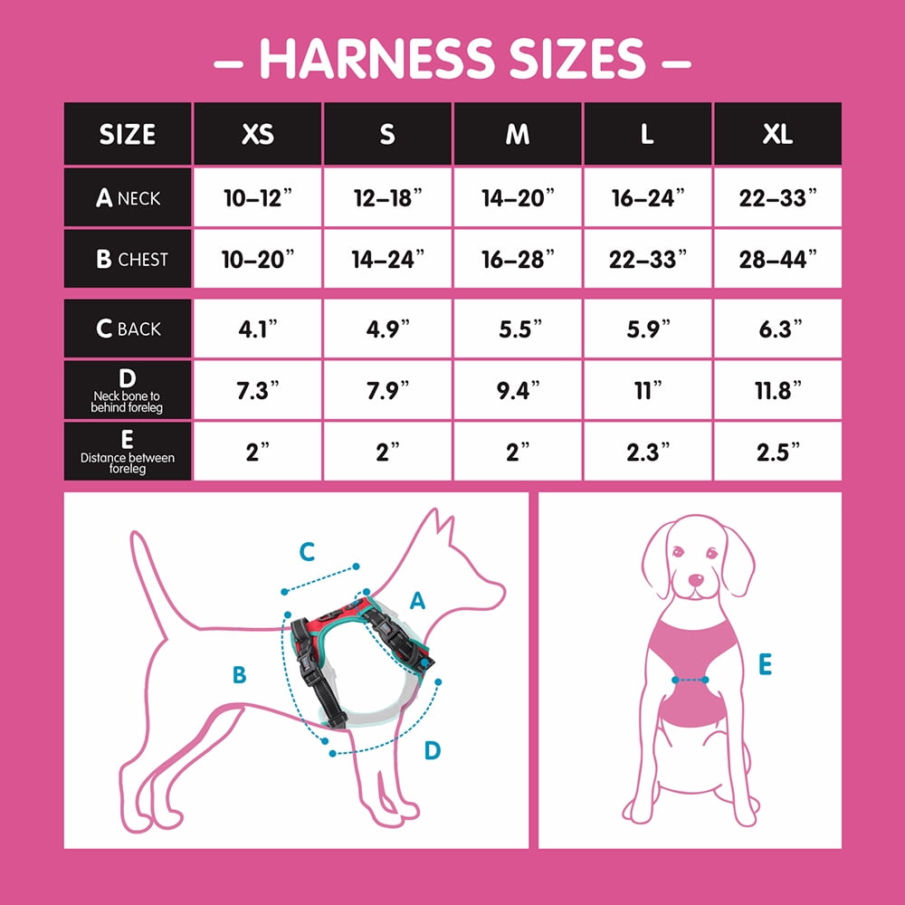 PHOEPET 2019 Upgraded No Pull Dog Harness, Reflective Adjustable Vest, with a Training Handle + 2 Metal Leash Hooks+ 3 Snap Buckles +4 Slide Buckles