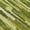 Green, variant on Addison Rugs Chantille Indoor/Outdoor Transitional Stripes Green Washable Rectangle Rug, 10' x 14'