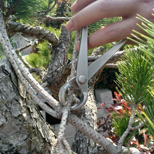 Garden Scissors, Fit Trimming Small Bonsai Shape Concave Edge Cutter Knob Cutter, For Bonsai Enthusiasts Pruning Branches