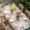 Beige, variant on Easter Flowers Table Cloths for 3 Foot Rectangle Tables, Watercolor Pink Floral Eggs Purple Plaid Patio Waterproof Elastic Fitted Tablecloths, Washable Rectangular Table Cover for Camping