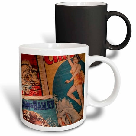 

3dRose Florida Sarasota Ringling Museum Circus Museum - US10 WBI0587 - Walter Bibikow Magic Transforming Mug 11oz