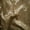Mocha, variant on QUINCY Sequin Fabric on Mesh Material ,2-Way Stretch, 52 Inch. In Width, | Home Decor, Mocha / Cut by the Yard