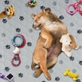 thumbnail image 3 of Hitime Waterproof Reusable Pets Training Pads Washable Pee Pads for Dogs with Leakproof Bottom, Puppy Pads for Potty Training (2 Pack, 18"x24"), 3 of 6