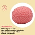 thumbnail image 5 of PEIBang Mini Brain Stress Ball,Hand Muscle Exercise Pressure Ball for Adults,Squishy Fidget Splat Ball for Decompression and Relaxation, 5 of 7