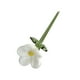 thumbnail image 4 of Mini flor de cristal decorativa creativa coleccionable figura floral para Blanco, 4 of 9