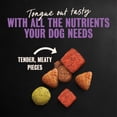 thumbnail image 6 of Cesar Filet Mignon Flavor with Vegetable Garnish Small Breed Dry Dog Food, 2.7 lb bag, 6 of 11