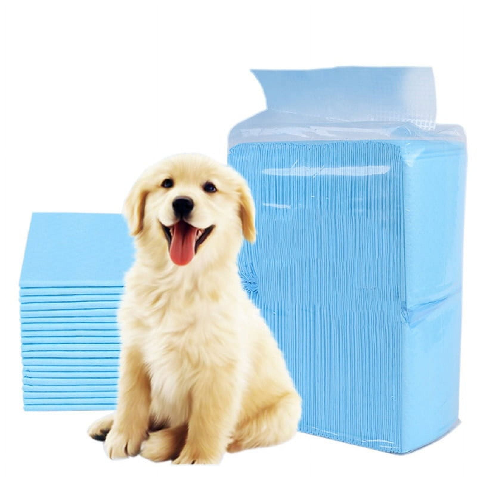 Dog nappy pads online