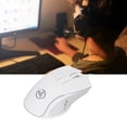 thumbnail image 1 of RGB Souris, 3600dpi Souris Mécanique Réglable RGB Ergonomique pour OS X pour Linux pour Noir, Blanc, 1 of 7