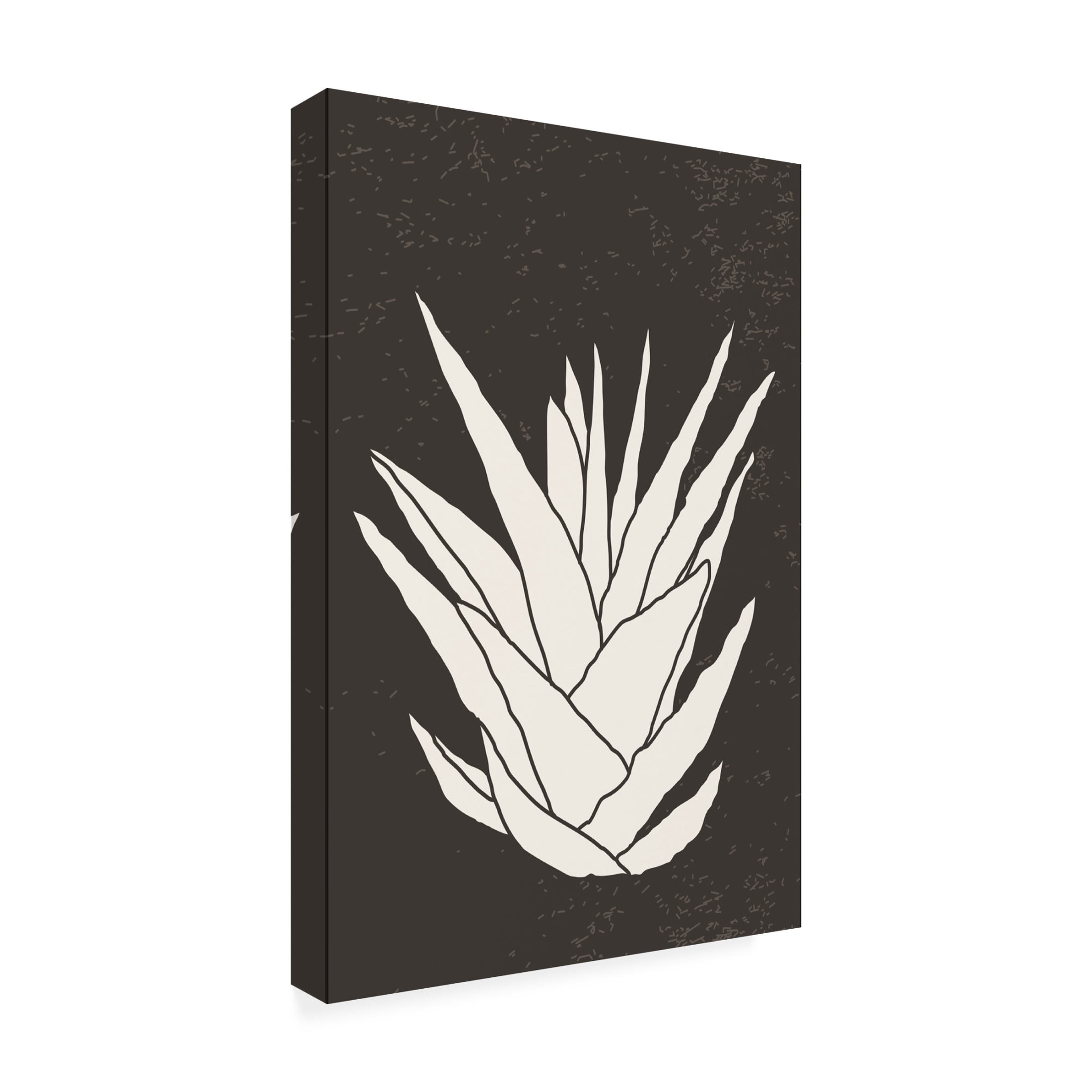 Trademark Fine Art jay stanley Agave 2 Canvas Wall Art