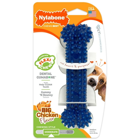 Nylabone Textured Dental Bone Flexi Chew Toy for Dogs, Dog Toys for Moderate Chewers, Chicken Flavor, Medium - Up to 35 lbs, 1 Count
