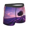 thumbnail image 2 of Rateoe Lavender Field Sunset Mens Boxer Briefs Poly Spandex Performance Boxer Briefs Underwear Hem Boxer Briefs - Large, 2 of 8