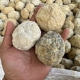 thumbnail image 5 of Rompa sus propias geodas Geoda de ágata natural Muestra de cristal real Contiene cúmulos limpios de Reiki Hermosas piedras Regalos de joyería, 5 of 5