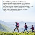thumbnail image 5 of BioTrust Ageless Collagen Booster, Powerfully Support Beauty from Within, Plant-Based Collagen Builder, Glowing Skin, Gorgeous Hair, Beautiful Nails, Healthy Joints, 60 Capsules (30 Servings), 5 of 7