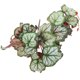 thumbnail image 1 of KAKOWELY Planta de terrario para reptiles, planta artificial para acuario, planta de plástico para pecera, planta decorativa para pecera de reptiles, 1 of 5