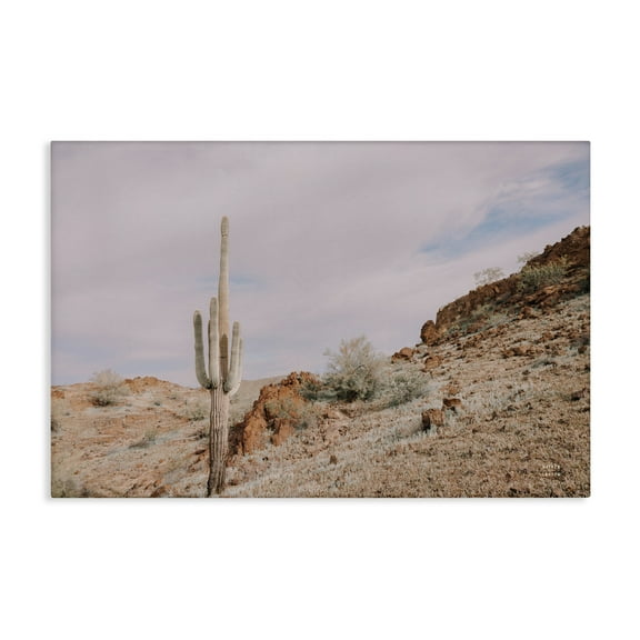 Stupell Industries The Climb Desertscape Landscape & Nature Photography Wrapped Canvas Art Print Wall Art, 24 x 16
