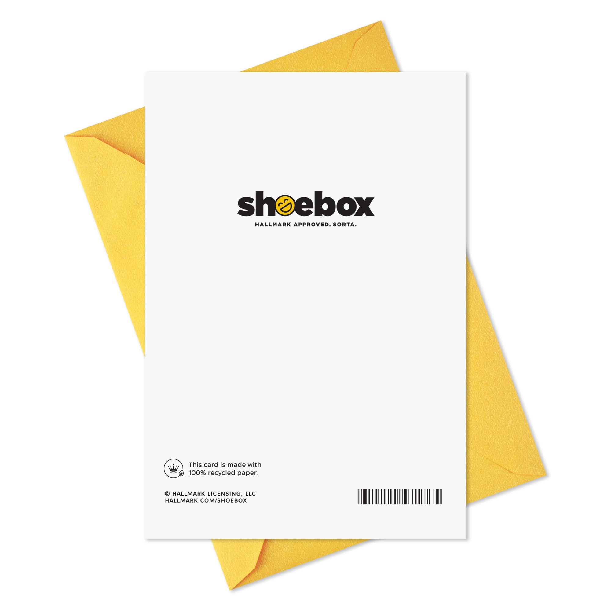 Hallmark Shoebox Funny Birthday Card (Here's Your Card)