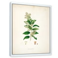 thumbnail image 3 of Designart 'Ancient Botanicals XVII' Farmhouse Framed Canvas Wall Art Print, 3 of 5